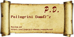 Pellegrini Damáz névjegykártya
